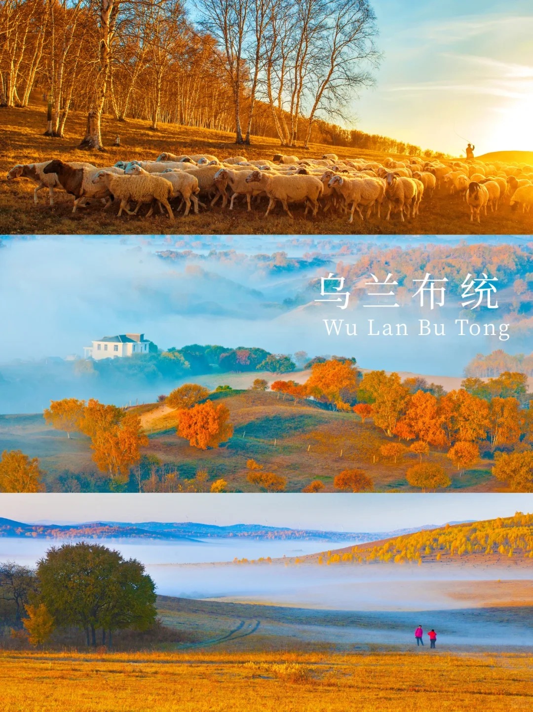 如果秋天只能去一个地方🍂那一定是乌兰布统_1_领队铭铭_乌兰布统-草原-来自52tours 我爱旅游网